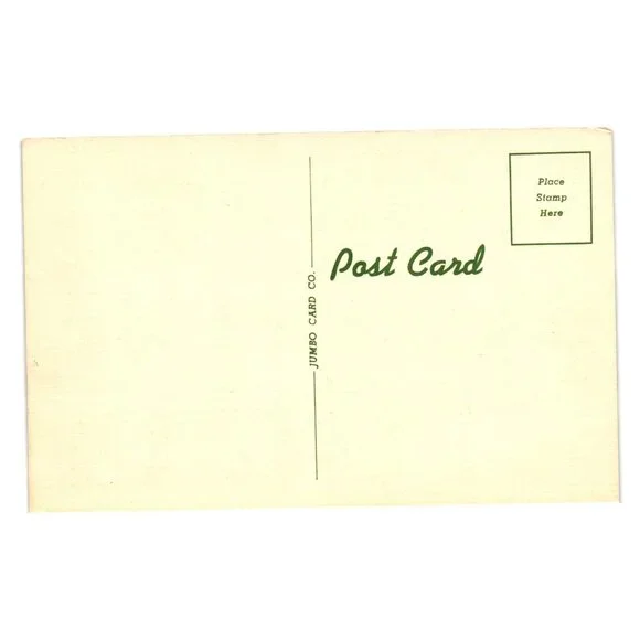 Crimson Bougainvillea Vine Postcard Jumbo Card Co Vintage Florida Tropical Scene - Picture 2 of 2